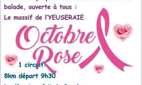 Balade dans le massif de l'Yeuseraie pour Octobre Rose