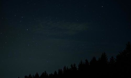 La foret &agrave; toute heure