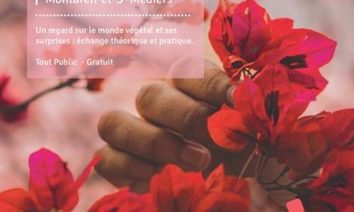 Atelier - Graines d'&eacute;veil