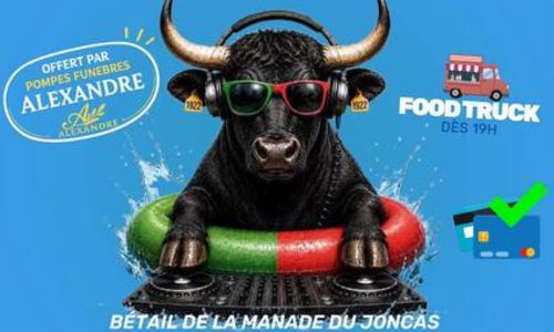 Toro Piscine