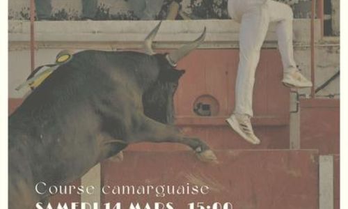 Course camargaise
