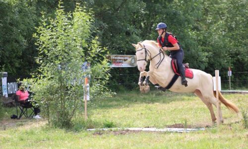 Les &Eacute;curies de Lou