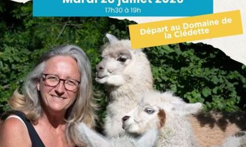 Balade avec des lamas