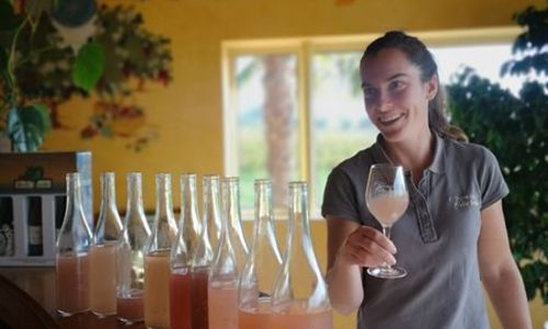 Domaine de Bellefeuille