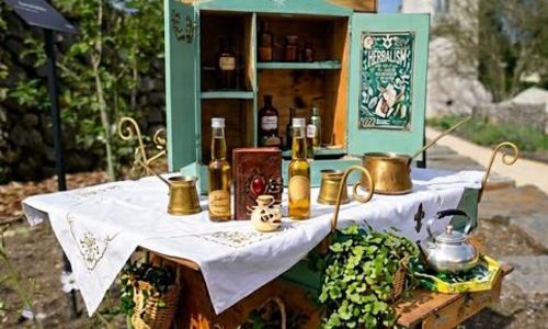 La Petite Pharmacop&eacute;e familiale