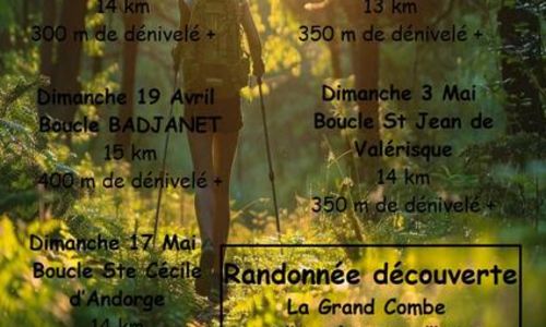 Rando marche nordique