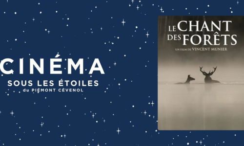 Cin&eacute;ma sous les &eacute;toiles &ndash; &laquo; Le Chant des For&ecirc;ts &raquo;
