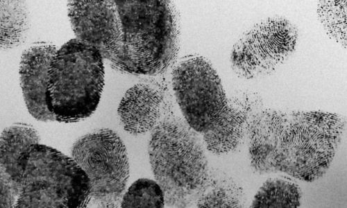 Avril en Cavale : le vol du si&egrave;cle - Avril en balade 2026