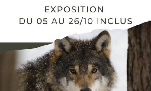 Exposition - Sur la Piste du Loup