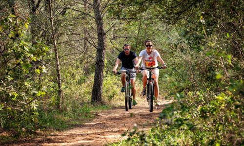 Parcours VTT Entre Vignobles des Costi&egrave;res et &Eacute;tangs de Camargue