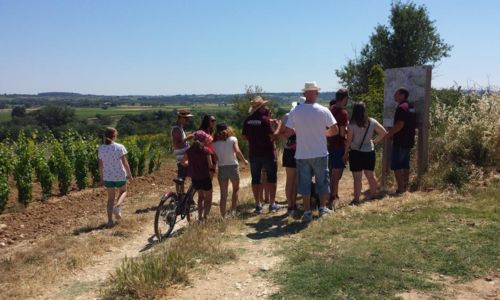 De notre vignoble &agrave; nos chais - Avril en balade 2026