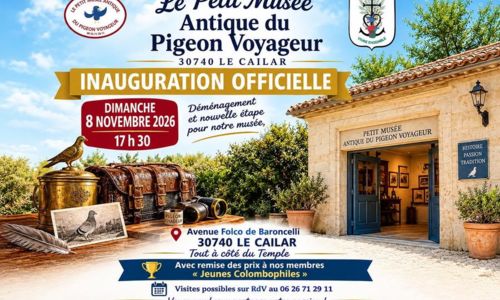 Inauguration : Le Petit Mus&eacute;e Antique du Pigeon Voyageur