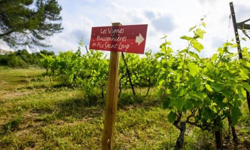 Les Vignes Buissonni&egrave;res 2026