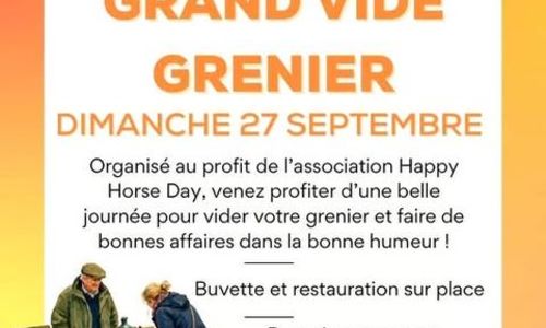 Grand vide-grenier
