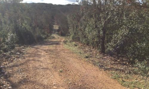 Aven de Peyre Haute et Baume des Fades (Gravel)