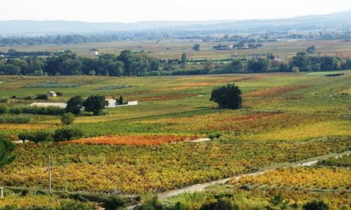 Boucle cyclo-d&eacute;couverte la Vigneronne