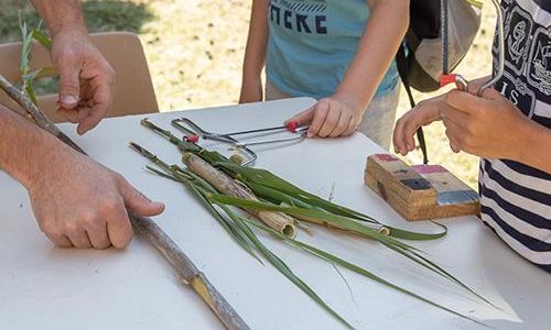 Atelier cr&eacute;atif : observation des petites b&ecirc;tes &eacute;tranges des jardins