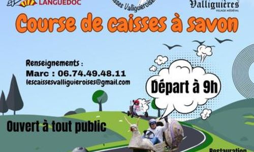 Course de caisses &agrave; savon