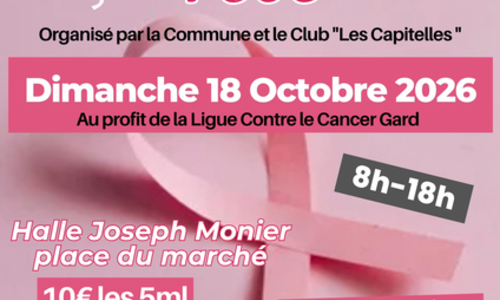 Vide-grenier au profit d'octobre rose