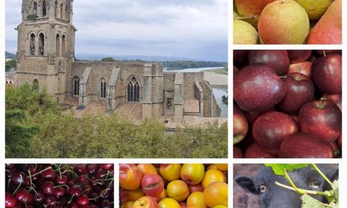 Les Digues - producteur de fruits