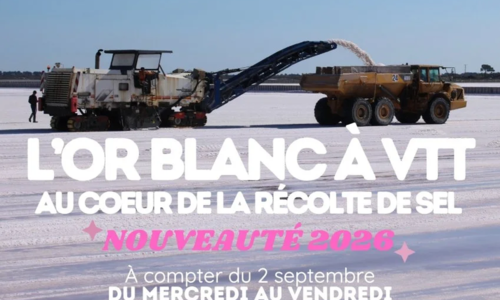 Visites guid&eacute;es &agrave; v&eacute;lo de la r&eacute;colte du gros sel - Salin d&rsquo;Aigues-Mortes