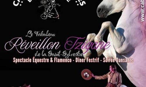 Le Fabuleux R&eacute;veillon Tzigane de la Saint-Sylvestre en Camargue - D&icirc;ner Spectacle