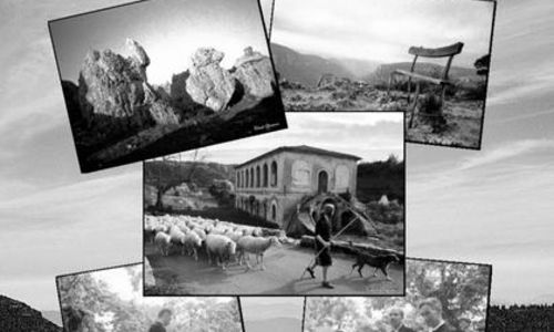 Exposition temporaire du Mus&eacute;e du D&eacute;sert - C&eacute;vennes vintage 1960-70