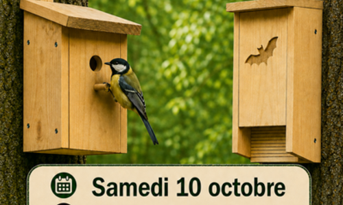 Atelier "Construction de nichoirs"