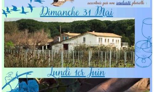 Visites guid&eacute;es - Domaine du Petit Saint-Jean