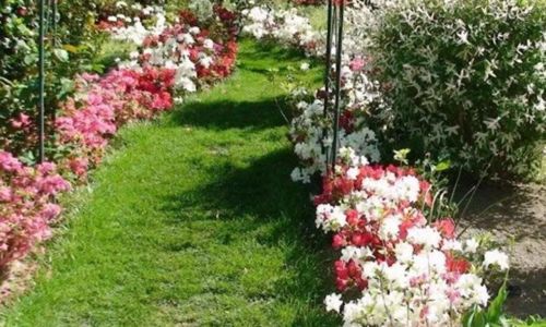 JEP 2026 : Parc Floral des Camellias