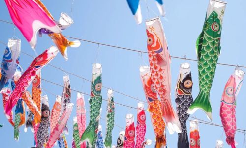 Exposition de koinobori