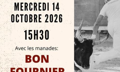 Course camarguaise - Ligue Occitanie