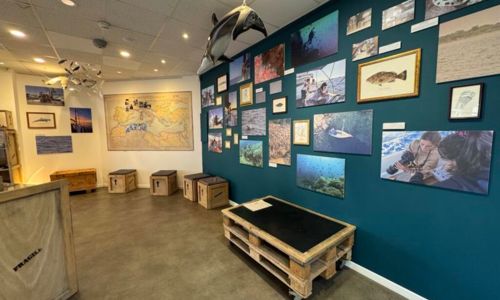 Exposition : Au fil de nos exp&eacute;ditions