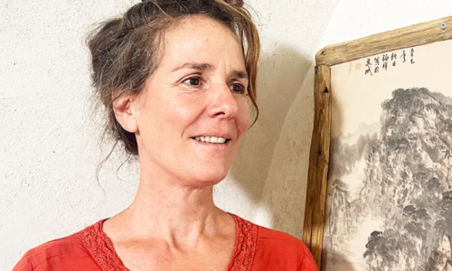 M&eacute;decine traditionnelle chinoise