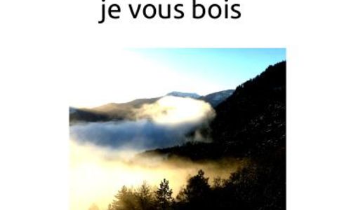 Rencontre litt&eacute;raire &agrave; la Librairie qui relie