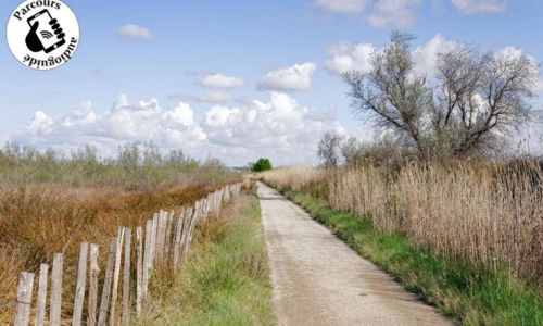 Boucle cyclo-d&eacute;couverte Entre Vignes et Rizi&egrave;res