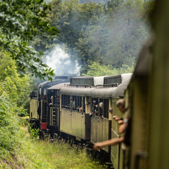 Train à vapeur des Cévennes