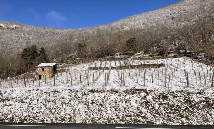 Domaine Le Chlo d'Auzit