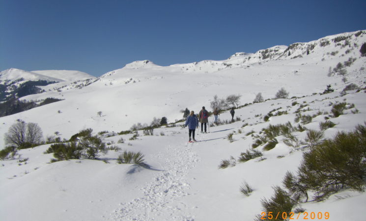 Rando Cantal