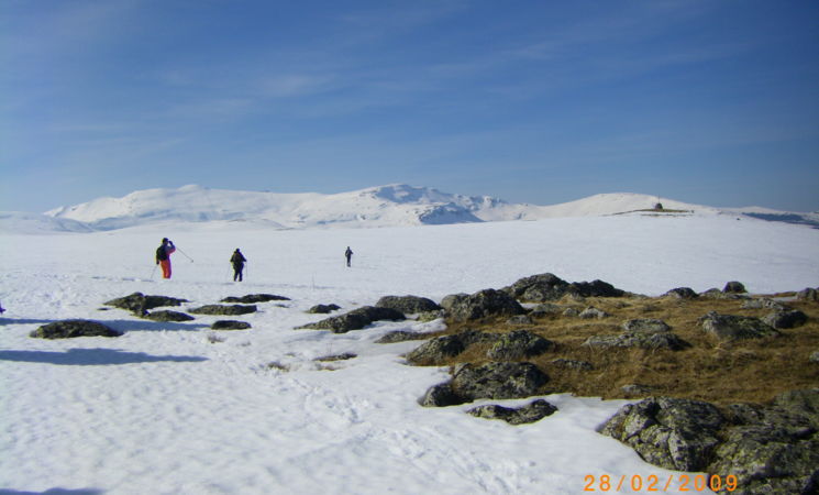 Rando Cantal