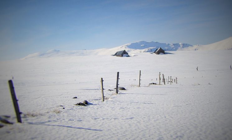 Rando Cantal