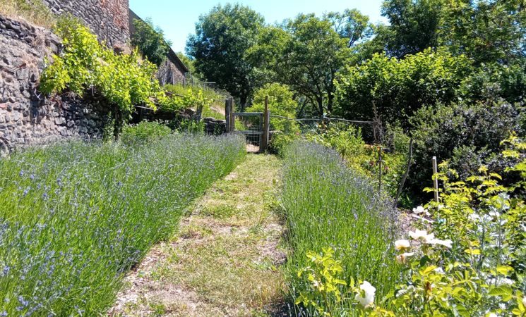 Mélisse & compagnie, visite des jardins