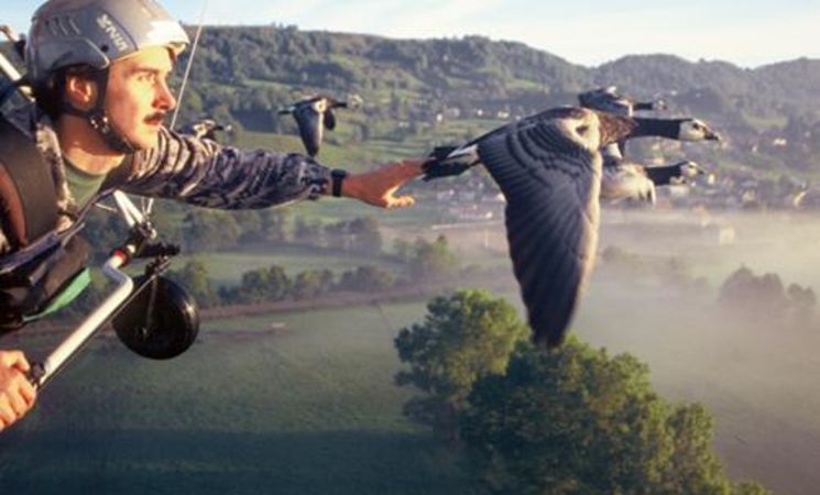 Voler avec les Oiseaux_Saint-Simon