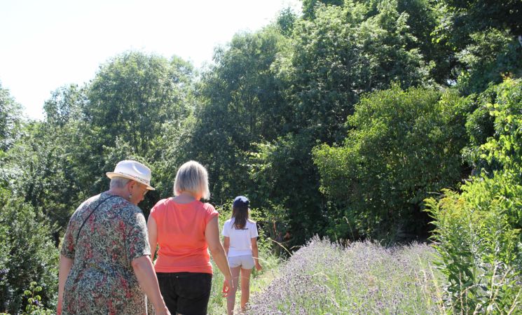 Mélisse & compagnie, visite des jardins