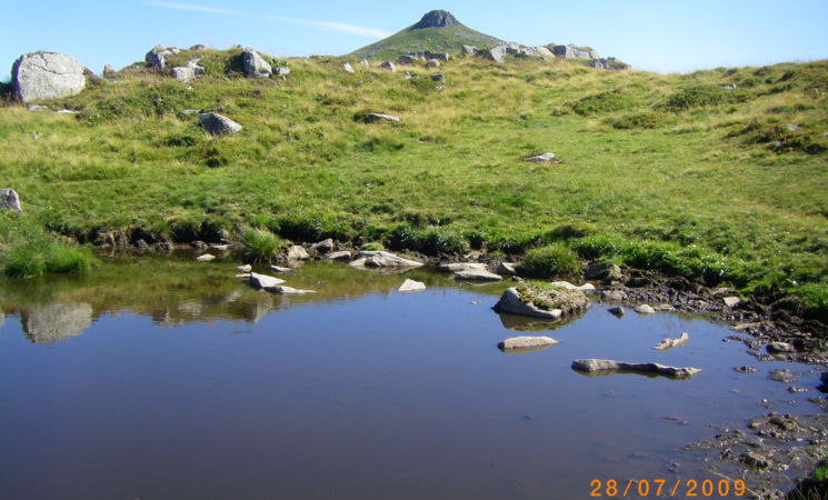 Rando Cantal