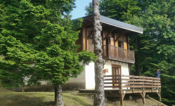 Façade chalet en été