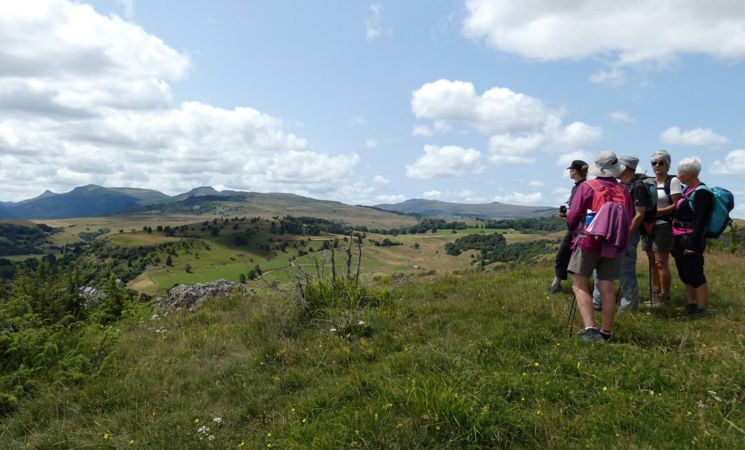 Sortie Nauture - Découverte de la flore des zones humides et des tourbières_Ségur-les-Villas