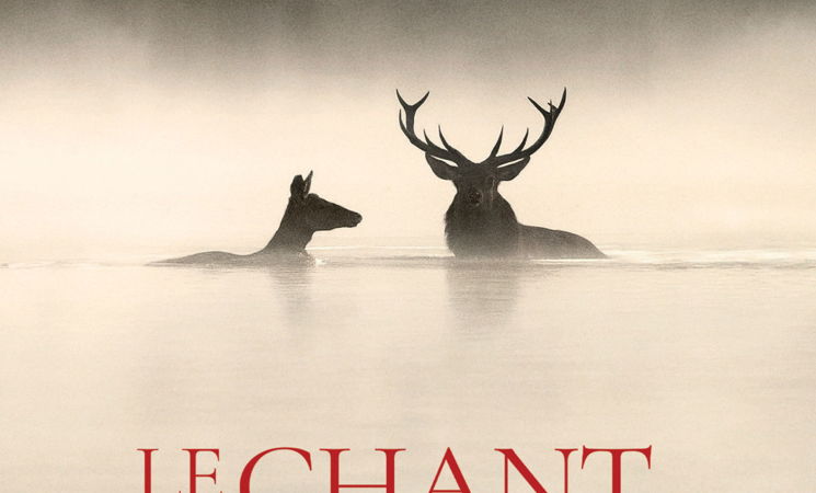 Le chant des forêts