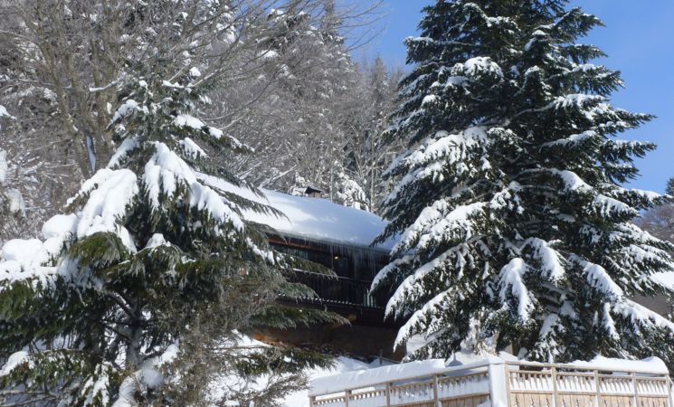 Chalet Blanchon