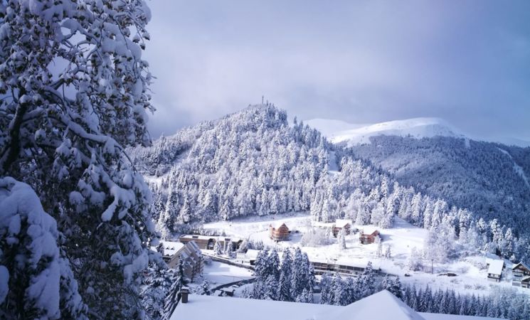 point de vue au chalet